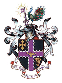麻豆視頻_麻豆直播_麻豆传媒官网 crest