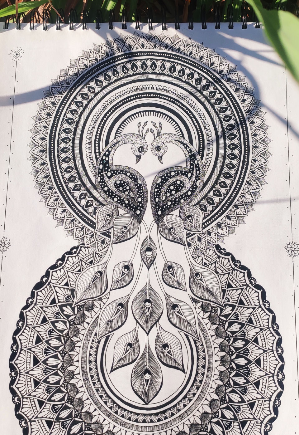 A black pen illustration of a peacock on a drawing sketchbook