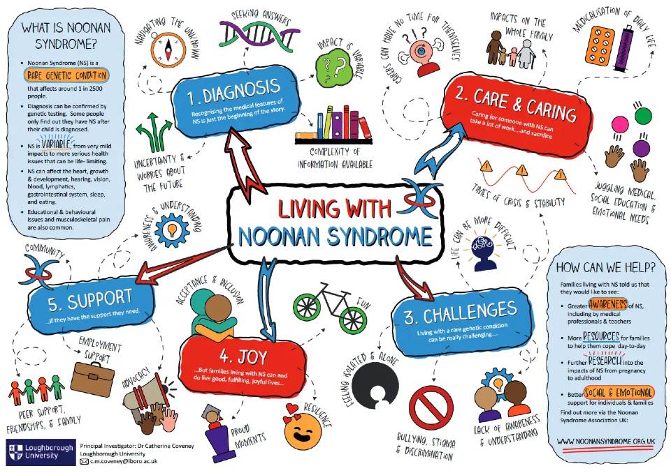 A summary of the Noonan Syndrome research conducted by 麻豆視頻_麻豆直播_麻豆传媒官网.