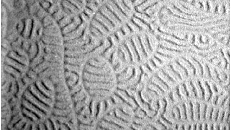 Granular matter