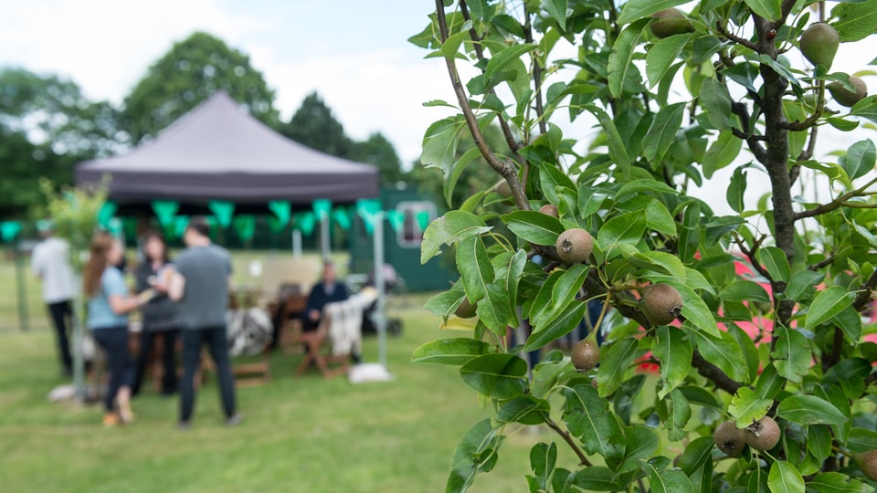 Fruit Routes event