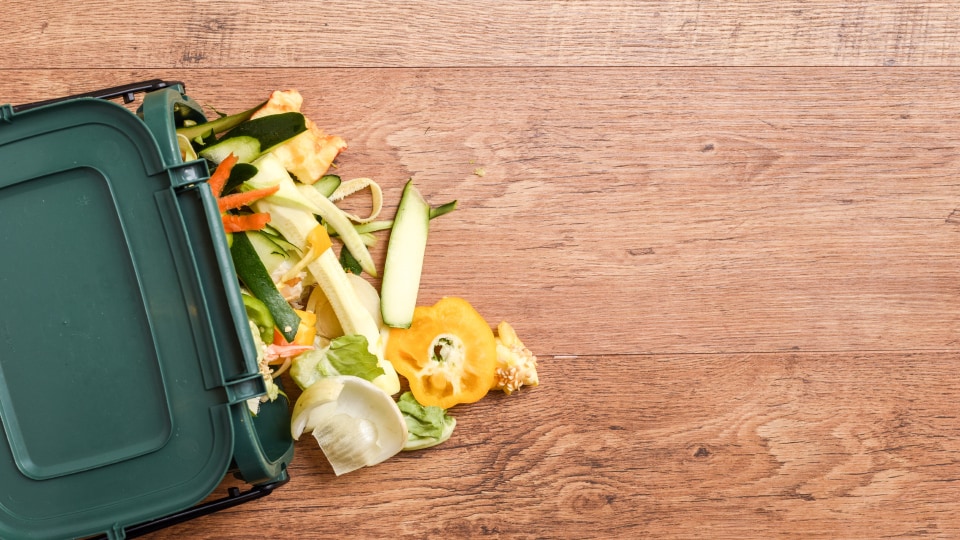 Picture of food waste spilling out of a dustbin