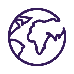 Globe icon