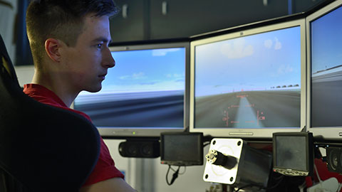 Flight simulator