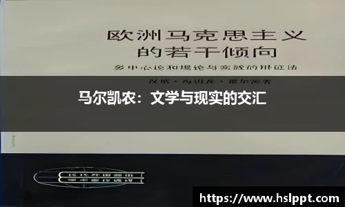 半岛体育官网入口
